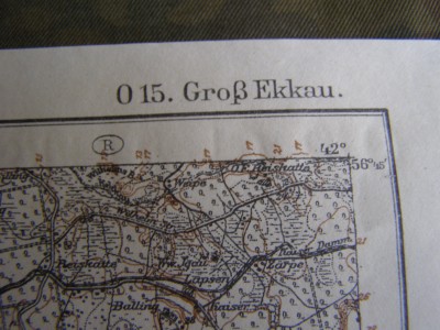 111.JPG