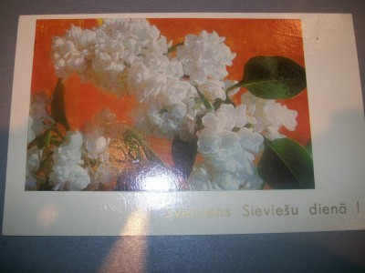 100_4924.JPG