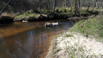 IMG-20180430-WA0003.jpg
