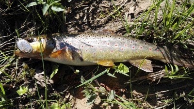 IMG-20180430-WA0002.jpg