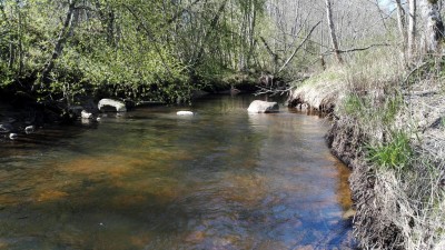 IMG-20180430-WA0004.jpg