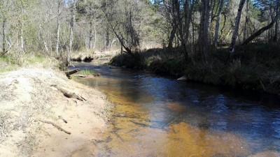IMG-20180430-WA0005.jpg