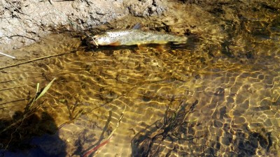 IMG-20180430-WA0013.jpg