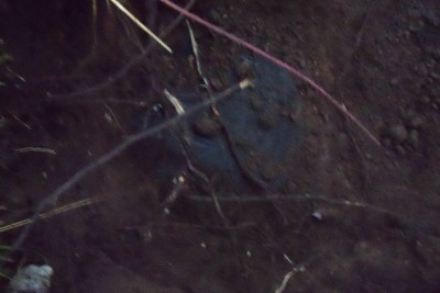 100_0549.JPG