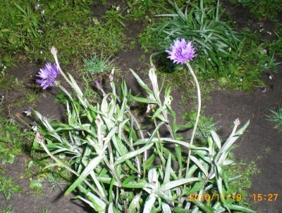 CIMG9324.JPG