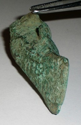 CIMG9335.JPG