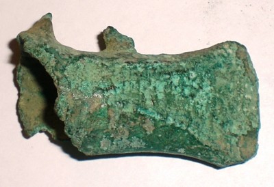 CIMG9341.JPG