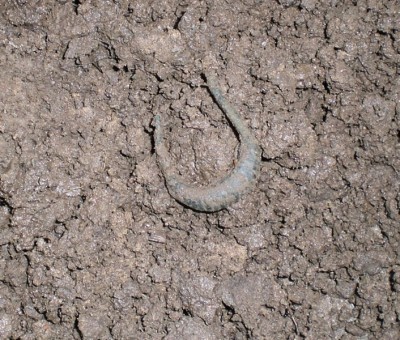 CIMG9320.JPG