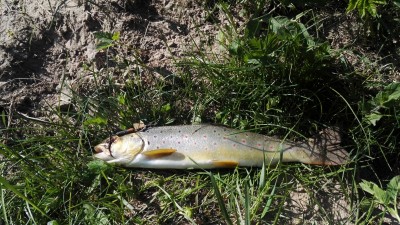 IMG_20180510_151930.jpg