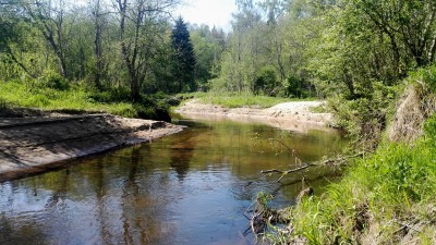 IMG_20180510_154657.jpg