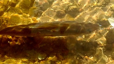 IMG_20180510_163035.jpg