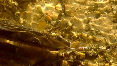 IMG_20180510_163115.jpg