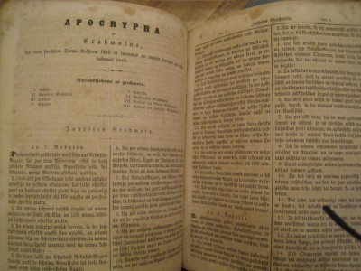 Picture 125.jpg