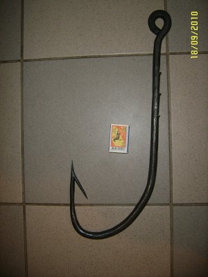 SUC59350.JPG