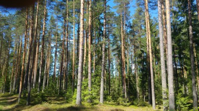 20180520_145604.jpg