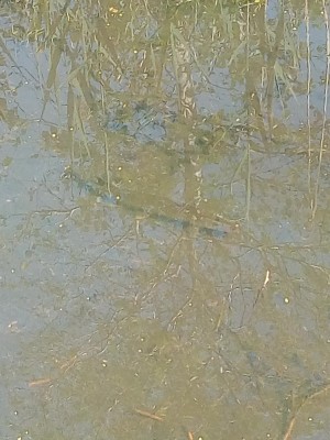 IMG_20180602_105839.jpg