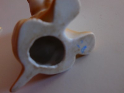 DSCN5624.JPG