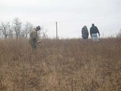 t_picture_006_314[1].jpg
