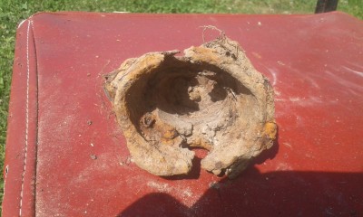 20180712_111455.jpg