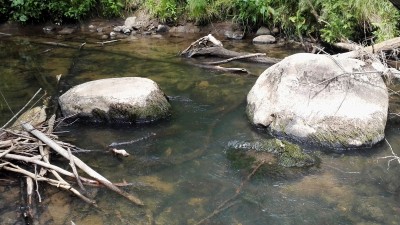 IMG_20180615_132437.jpg