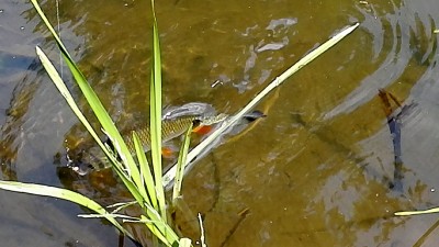 IMG_20180615_155402.jpg