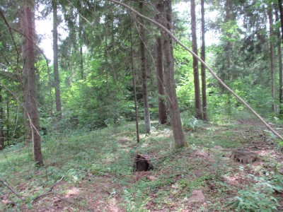 22 Ijulja 2018g Aluksne pr Flang oboroni Vermaht ob r.Marienburg  (12).JPG