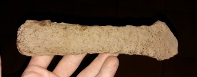 20180725_220220.jpg