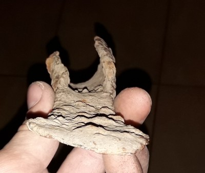20180725_220253.jpg