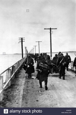 German infantry on the island of Saaremaa, 1941 -1.jpg