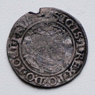 Solid 1534  - 2.JPG