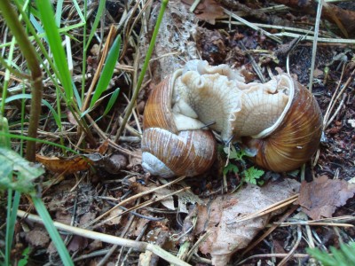 DSC00007.JPG