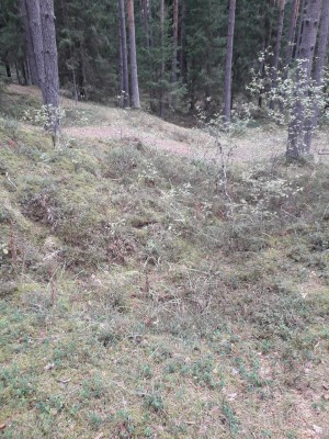 20180831_144226.jpg