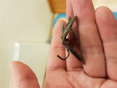 20180902_204737.jpg