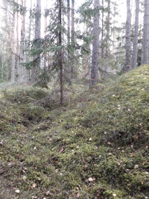 20180914_123239.jpg