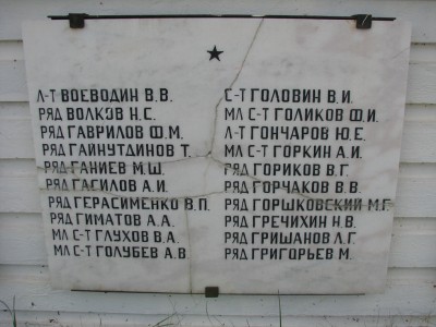 Воводин.JPG