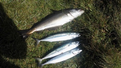 IMG_20180922_143543.jpg