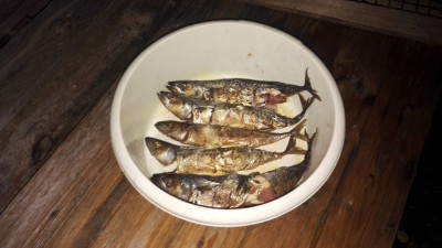IMG_20180922_202326.jpg
