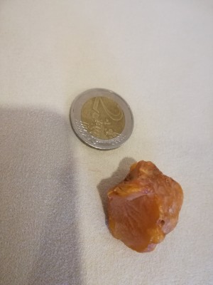 IMG_20181004_092746.jpg