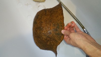 20181012_161202.jpg