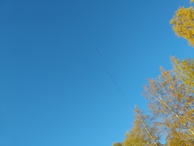 IMG_20181012_094055.jpg