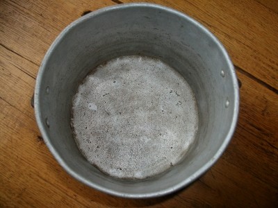 ALIM5104.JPG