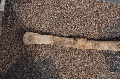 DSC_7480.JPG