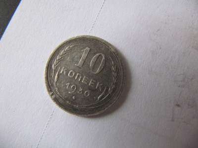 231.JPG