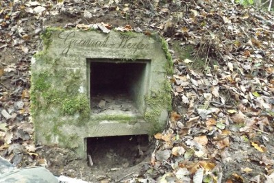 DSCF7561.jpg