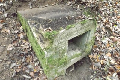 DSCF7568.jpg