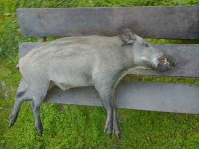 09072010061.jpg