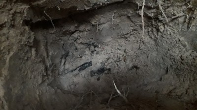 20181115_150109.jpg