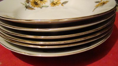DSC08236.JPG