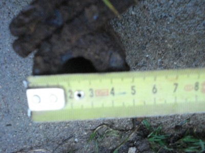DSC04090.JPG