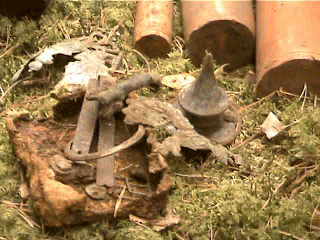 Dcam0637.jpg